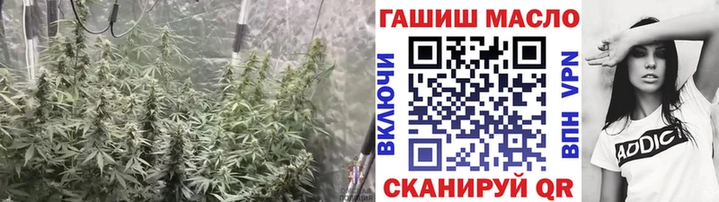 ТГК концентрат  Купить закладки  Тара 